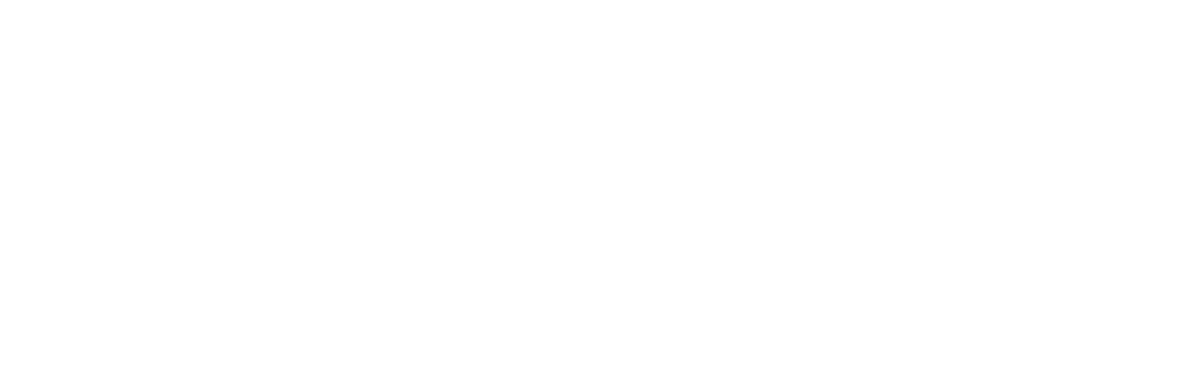 ReBirth Web Design Logo