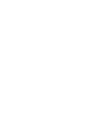 Rebirth Online